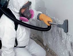 Trusted Gig Harbor, WA Mold Removal Services Experts